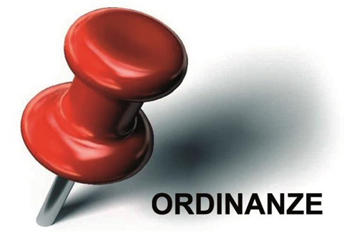 Ordinanza 25/2025